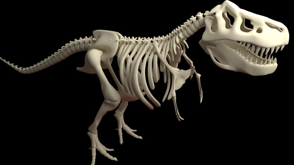 T-REX Dino TRex, Bones, Skeleton preview image 2